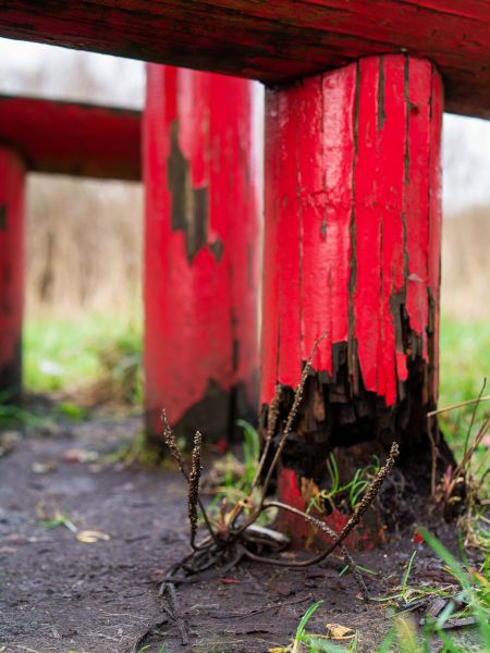 Cost of Rotten Column Replacement in Eagle
